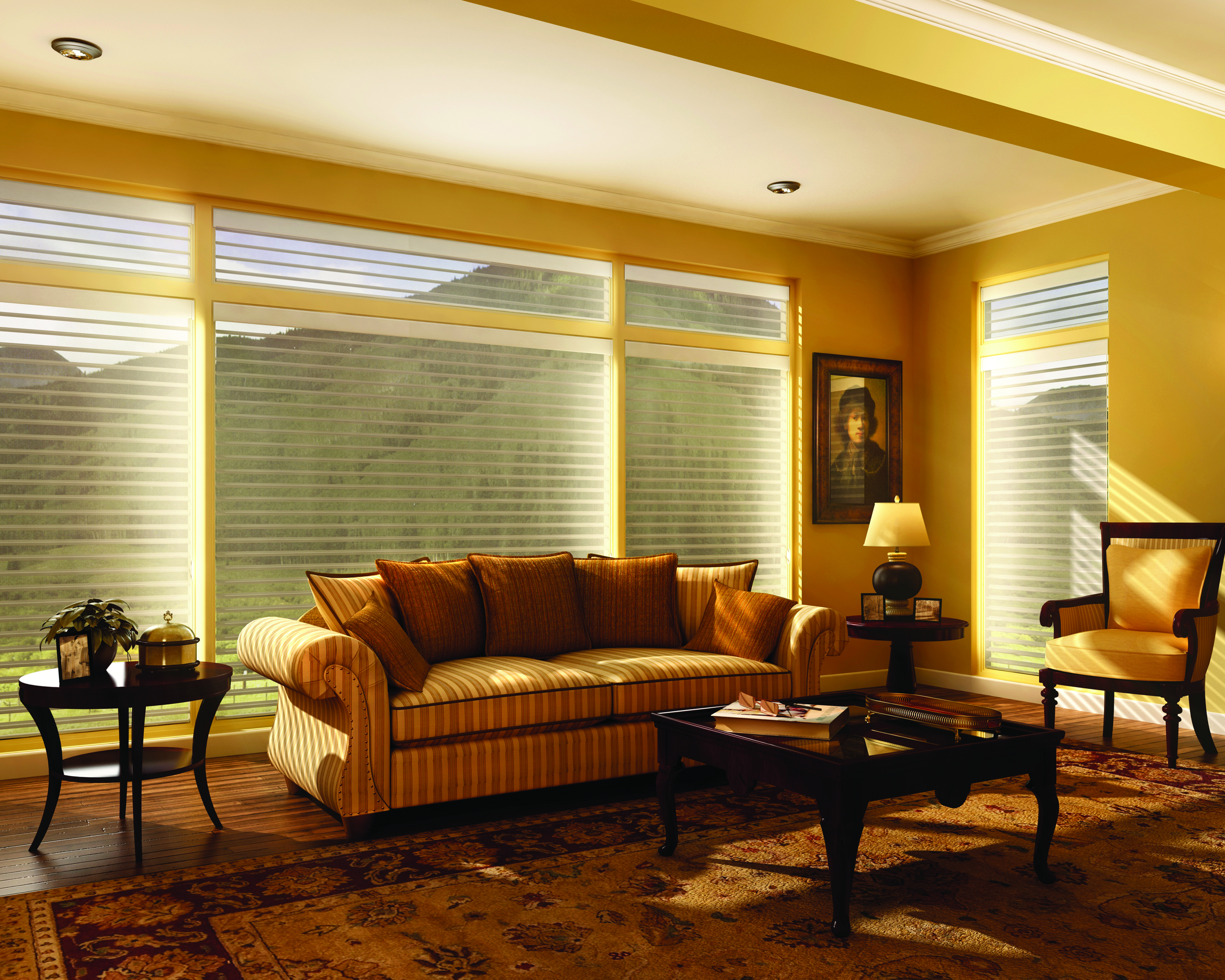 Hunter Douglas Silhouette Privacy Sheers with LiteRise